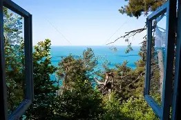 窗口期亚冠传出新动向，马赛再遭质疑，管理层表态——球迷炸锅，心理建设被强调